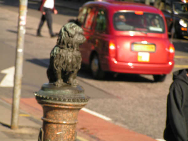 PICT0767